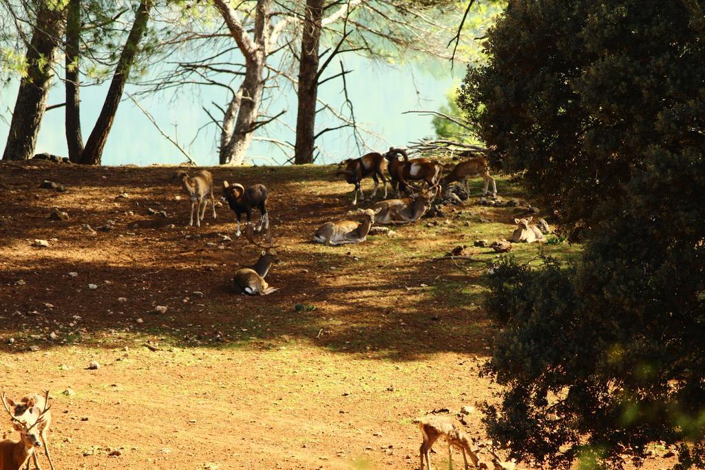 Hotel Balneario Parque De Cazorla Arroyo Frio Exteriér fotografie